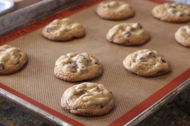 Cookie-Testing-Recipe-7